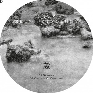 SALP004_SACD007 Label D